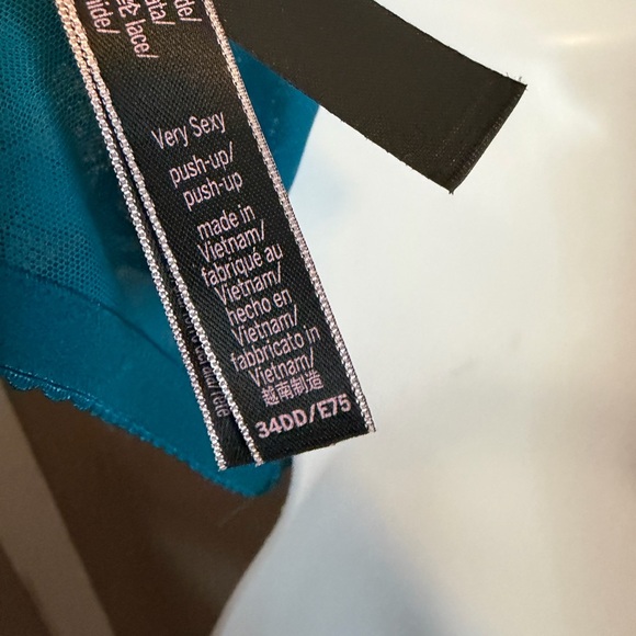 VS Teal Blue Shine Strap Corset Push-Up Bra 34DD
Brand: Victoria's Secret - Picture 3 of 8
